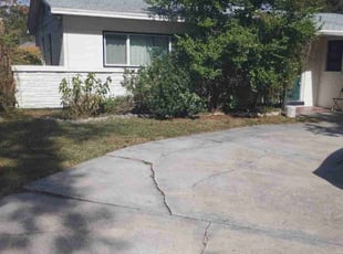 Andy P.'s grass maintenance service result