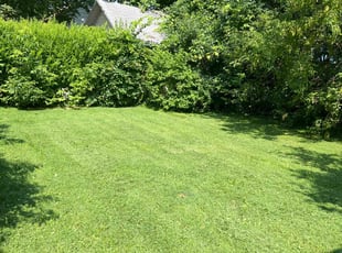 Tyrone M.'s lawn service service result