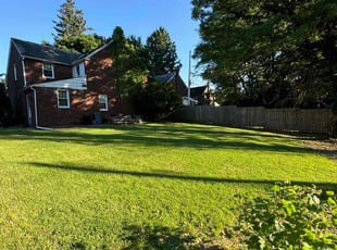 Travis B.'s turf care service result