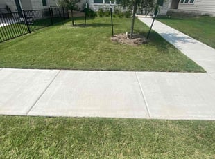 Tim R.'s lawn maintenance service result