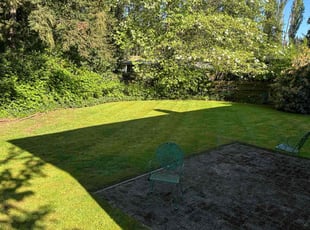 Jeff K.'s grass cutting service result