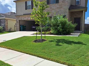 Lance C.'s yard service service result