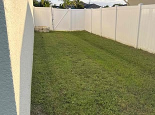 Ben A.'s grass maintenance service result