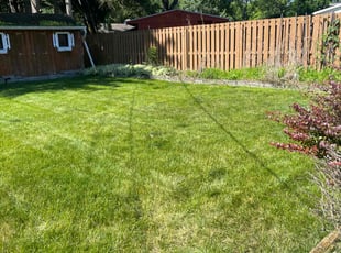 Antonio G.'s lawn care service result