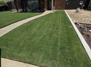 Lynne F.'s lawn care service result
