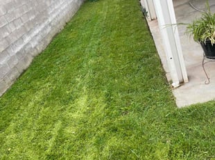 Shaun G.'s lawn maintenance service result