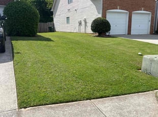 Yolanda R.'s grass cutting service result
