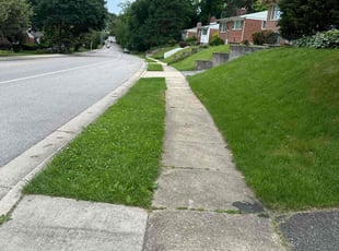 Janice E.'s grass maintenance service result