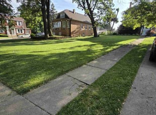 Matthew E.'s lawn maintenance service result