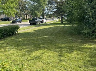 Esther P.'s lawn maintenance service result