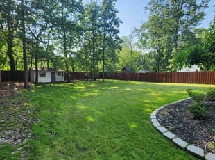 Clint H.'s grass maintenance service result