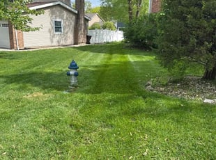 Maureen O.'s turf care service result