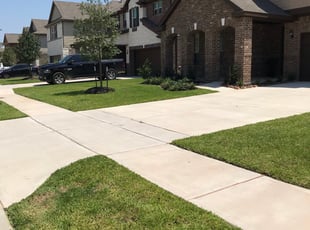 Elizabeth O.'s yard maintenance service result