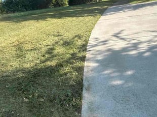 Marcella L.'s Long Grass Cleanup service result