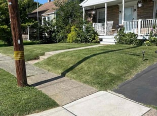 Amani A.'s lawn maintenance service result