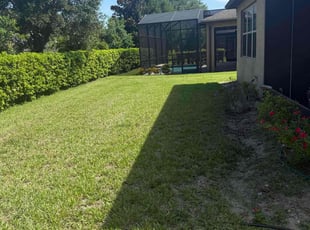 Lawrence O.'s lawn maintenance service result