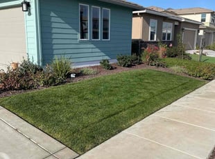 Amanda A.'s lawn care service result