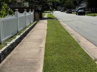Meleena T.'s lawn service service result