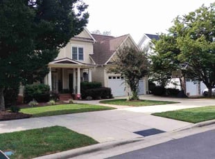 Chris T.'s turf care service result