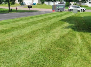 Christopher D.'s grass maintenance service result