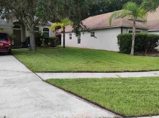 David S.'s lawn care service result