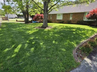 Jennifer I.'s grass cutting service result