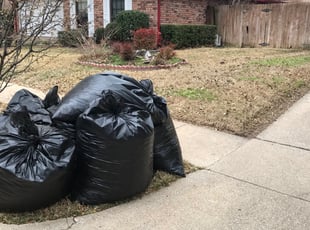 Zau S.'s Leaf Removal service result