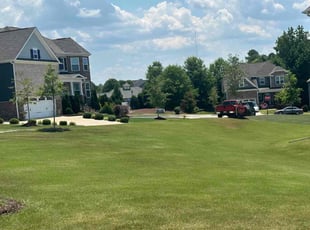 Willey W.'s turf care service result