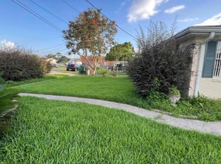 Charles C.'s turf care service result