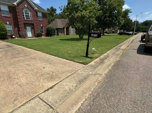 Cafilliar P.'s grass maintenance service result