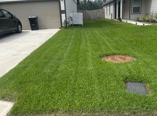 Scott V.'s grass cutting service result