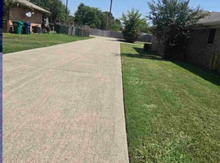 Cindy S.'s turf care service result