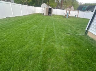 Joseph E.'s grass cutting service result