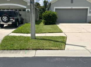 James P.'s lawn maintenance service result