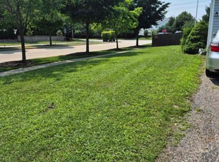 Matthew B.'s grass cutting service result
