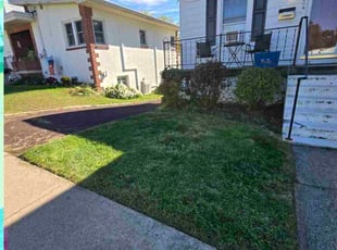 Daniel R.'s turf maintenance service result