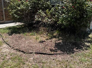 Joaquin J.'s Bush Trimming service result