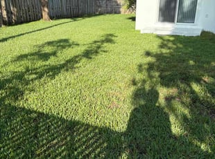 Clarence D.'s lawn care service result