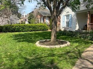 Chris F.'s yard work service result