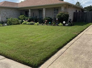 Allen W.'s turf maintenance service result