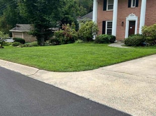 Trish B.'s lawn maintenance service result