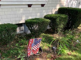 Scott W.'s Bush Trimming service result