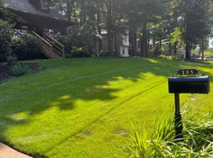 Amanda M.'s turf care service result