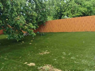 Kiki O.'s Leaf Removal service result