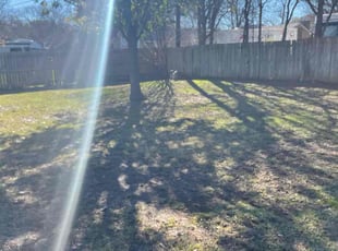 Linda D.'s Leaf Removal service result