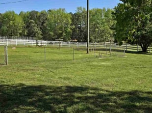 Seliyah M.'s grass cutting service result