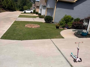 Annissa E.'s grass cutting service result