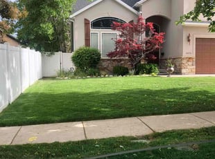 Kendell M.'s turf maintenance service result