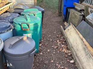 Shuntray M.'s Leaf Removal service result