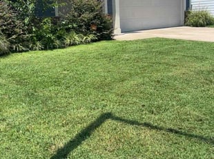 Ingrid P.'s turf maintenance service result